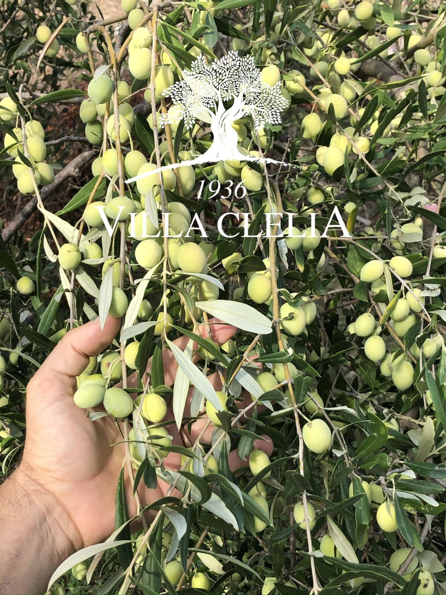 Il Palmento Di Villa Clelia 1936 Locri Zewnętrze zdjęcie